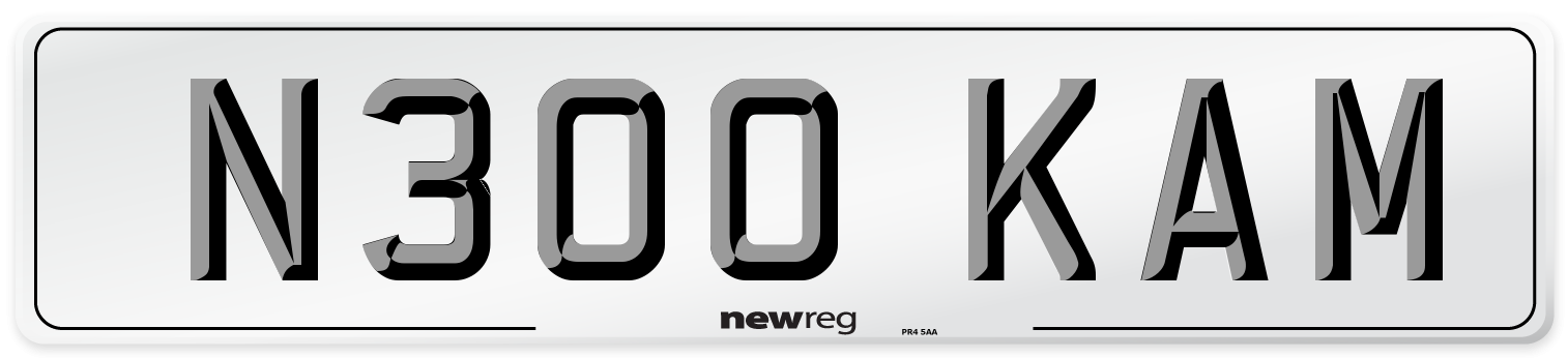 N300 KAM Number Plate from New Reg